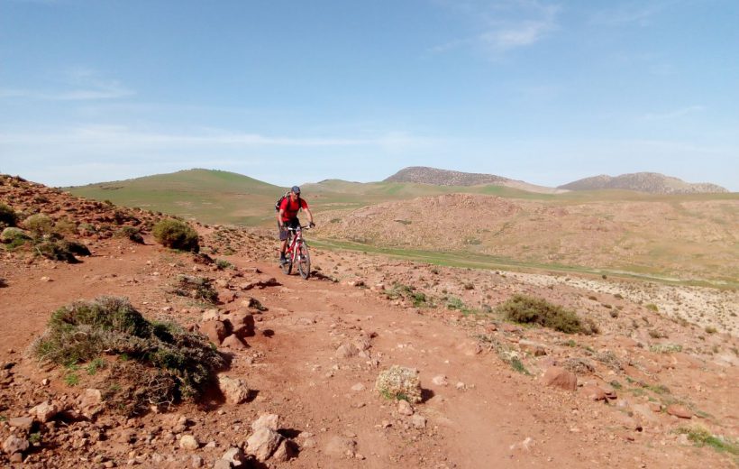 1 Day Biking tour Desert Agafay
