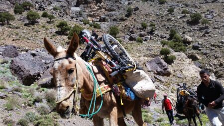 From Imlil Enduro Day Biking tour