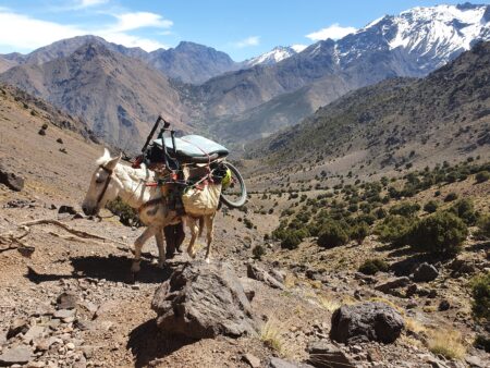 From Imlil Enduro Day Biking tour