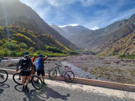 Luxury E-Bike Marrakech tour